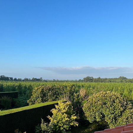 Jolie Maison De Vacances Avec Terrasse Et Jardin サン・ジュリアン・アン・ボルヌ エクステリア 写真