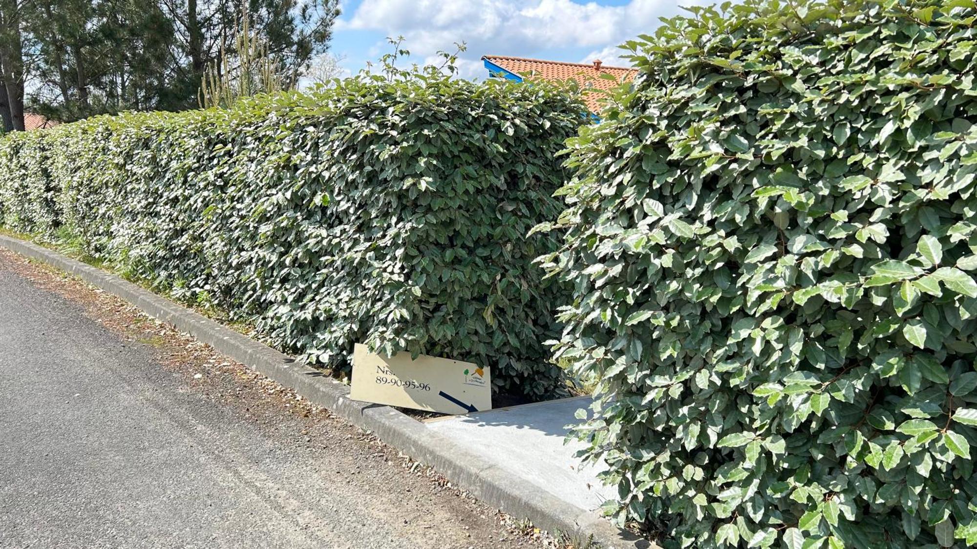 Jolie Maison De Vacances Avec Terrasse Et Jardin サン・ジュリアン・アン・ボルヌ エクステリア 写真
